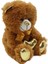 62500 Parlak Kalpli Peluş Ayı 30 cm 3