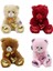 62500 Parlak Kalpli Peluş Ayı 30 cm 5