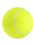 9.5 " Büyük Boy Dev Tenis Topları Şişme Tenis Topu Pompa ile Köpek Oyuncak Topları Imza Çocuk Yetişkin Evcil Köpekler Kediler Eğlenceli (Yurt Dışından) 2