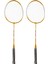 Regaıl 2 Adet Demir Alaşımlı Badminton Raketi 2 Oyuncu Badminton Raketi Seti Çocuklar Yetişkinler Için Altın (Yurt Dışından) 2