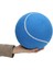 Blueblue Oynamak Için Net ile 8 Inç Büyük Şişme Ka Tenis Topu Imza Pet Oyuncak (Yurt Dışından) 3