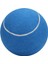 Blueblue Oynamak Için Net ile 8 Inç Büyük Şişme Ka Tenis Topu Imza Pet Oyuncak (Yurt Dışından) 4