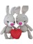 Miniş Tavşan Amigurumi Organik Oyuncak 1 Adet 1