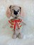 Yelekli Köpüş Amigurumi Organik Oyuncak 1 Adet 1