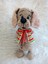 Yelekli Köpüş Amigurumi Organik Oyuncak 1 Adet 3