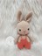Amigurumi Organik Örgü Oyuncak Tavşan 1 Adet 1
