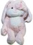 Peek-A-Boo Peluş Oyuncak Yüz Kaplama Oyuncak Bebek Oyuncakları (Yurt Dışından) 5
