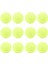 12 Paket Tenis Topları Ka Keçe Basınç Eğitimi Tenis Topları Uygulama Topları Saklama Çantası Acemi Için Eğitim Sarı (Yurt Dışından) 1