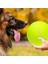 Çocuk Yetişkin Için 9.5 " Büyük Boy Dev Tenis Topu (Yurt Dışından) 1