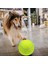 Çocuk Yetişkin Için 9.5 " Büyük Boy Dev Tenis Topu (Yurt Dışından) 4