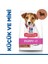 Hills Puppy Small & Mini Kuzu Etli Küçük Irk Yavru Köpek Maması 6 kg 1