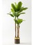 Yapay Muz Ağacı 220 cm Kahverengi Gold Metal Saksı 1