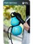800ML Doğu Kabak Taşınabilir Plastik Yüksek Değer Büyük Kapasiteli Su Isıtıcısı (Yurt Dışından) 5