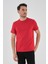 Alexandergardı Dokulu Erkek T-Shirt 1