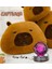 Kişiye Özel Fotoğraflı Kapibara Capybara Polar Yastık & 3D Satürn Kız Samanyolu Işıklı Kristal Küre 1