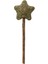 Matatabi Catnip Yildiz Kedi Lolipop 10 cm 2
