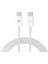 SL-C124 1m 20V 5A 100WATT Pd 3.0 Beyaz Type C To Type C Quick Super Charge Data ve Şarj Kablosu 1