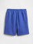 Erkek Çocuk Mavi Fleece Pull-On Şort 3