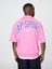 Erkek Pembe Vintagesoft Spor Çeyrek Fermuarlı Pullover Sweatshirt 4