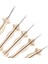The Oxford Punch Iğne Set 3 mm 10015 5