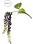 Yapay Berry Garnitür Dalı Mor 65 cm 3