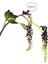 Yapay Berry Garnitür Dalı Mor 65 cm 4