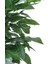 Yapay Ceviz Ağacı 130 cm 2