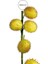 Yapay Garnitür Moby Dick Dalı Sarı 66 cm 3