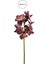 Yapay Vanda Orkide Dalı Pembe 52 cm 2