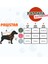 Kiremit Pattaya Köpek Bornozu-Köpek Kurulama Havlusu- Kedi Köpek Kıyafeti 4