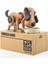 Para Yiyen Köpek Kumbara (483483) 5