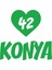 Kalpli 42 Konya Araba Sticker 17X17 cm Yeşil 1