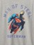 Erkek Çocuk Gri Superman Baskılı Grafik T-Shirt 2