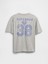 Erkek Çocuk Gri Superman Baskılı Grafik T-Shirt 3