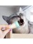 Fırsat Byr Dondurma Şekli̇nde Kedi̇ Nanesi̇ Kedi̇ Otu Yeni 1