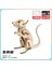 Ahşap Maket Puzzle Oyuncaklar Anaokulu Aktiviteleri Mini El Yapımı 3D Üç Boyutlu Puzzle (Yurt Dışından) 1