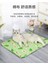 Pet Buz Pedi Yaz Kedi Kumu Köpek Kulübesi Pet Mat (Yurt Dışından) 4