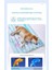 Pet Buz Pedi Soğutucu Kedi Yaz Soğutucu Uyku Pedi (Yurt Dışından) 3