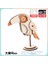 Ahşap Maket Puzzle Oyuncaklar Anaokulu Aktiviteleri Mini El Yapımı 3D Üç Boyutlu Puzzle (Yurt Dışından) 1