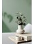 Muffag 6'lı Set 14 Adet Obje Camber Vazo - Şamdan Set - Mini Dekoratif Pinterest Iskandinav Bohem 2