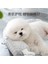 Pet Buz Pedi Yaz Kedi Kulübesi Köpek Kulübesi Pet Mat Pet Soğutucu Pet Yatak (Yurt Dışından) 3