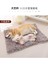 Pet Mat Kalınlaştırılmış Model Sonbahar ve Kış Sıcak Altlık (Yurt Dışından) 3