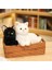 Kedi Bebek Yalan Kedi Bebek Yalan Kedi Peluş Oyuncak Bebek Ev Dekorasyonu 350MM (Yurt Dışından) 2