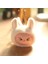 Labubu Ikinci Nesil Anime Peluş Modeli Küçük Kafa Anahtarlık Çantası Sevimli Kolye Yumuşak Bebek Oyuncak Peluş Kolye Sırt Çantası Dekorasyon Renk: B (Yurt Dışından) 1