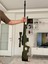 Csgo Awp 1