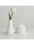 Luna Ikili Dekoratif Obje Seti – Modern & Minimal Stil 1