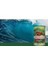 Proton Algine Organik Deniz Yosunu 400 gr 2