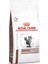 Royaı Canin Hepatic Kedi Maması 2 kg 1