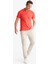Yeni Sezon Slim Fit Dar Kesim Nakışlı Kısa Kollu Polo Tişört 5