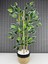 Yoğun Yapraklı Dekoratif Benjamin Ağacı Hasır Sea Grass/koton Saksılı 3 Gövde 70CM 1